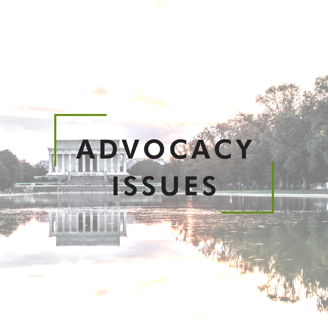 advocacy issues